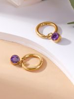 1 Pair Classic Style Round Plating Inlay 304 Stainless Steel Zircon 14K Gold Plated Drop Earrings main image 8