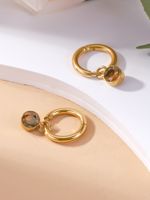 1 Pair Classic Style Round Plating Inlay 304 Stainless Steel Zircon 14K Gold Plated Drop Earrings main image 9
