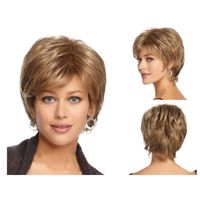 Women's Simple Style Casual Party Street High Temperature Wire Side Fringe Short Straight Hair Wigs main image 3