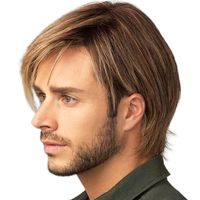 Männer Retro Lässig Gruppe Straße Hochtemperaturdraht Seitenrand Kurzes Glattes Haar Perücken main image 4