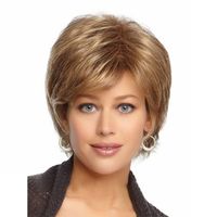 Women's Simple Style Casual Party Street High Temperature Wire Side Fringe Short Straight Hair Wigs main image 1