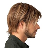 Men's Retro Casual Party Street High Temperature Wire Side Fringe Short Straight Hair Wigs main image 3