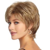 Women's Simple Style Casual Party Street High Temperature Wire Side Fringe Short Straight Hair Wigs main image 2