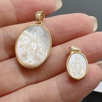 Simple Style Oval Shell Plating Jewelry Accessories main image 4