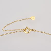 Simple Style Square Sterling Silver Plating Inlay Zircon 18k Gold Plated White Gold Plated Necklace main image 3