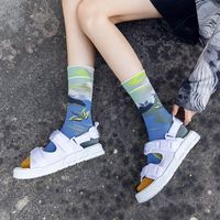 Unisex Streetwear Color Block Cotton Crew Socks A Pair main image 5