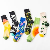 Unisexe Vêtement De Rue Impression Nylon Coton Jacquard Crew Socks Une Paire main image 1