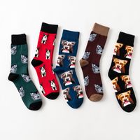 Men's Streetwear Dog Cotton Crew Socks A Pair main image 4