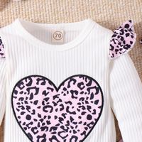 Einfacher Stil Leopard Baumwolle Mädchen Kleidung Sets main image 5