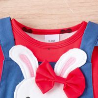 Simple Style Rabbit Cotton Girls Clothing Sets main image 5