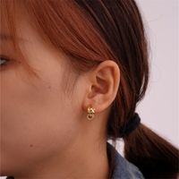 1 Pair Lady Animal Plating Inlay Copper Zircon Gold Plated Earrings main image 5