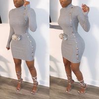 Women's Sheath Dress Casual Elegant Turtleneck Long Sleeve Solid Color Above Knee Daily Street main image 1