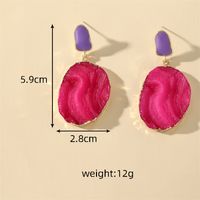 1 Pair Casual Vintage Style Simple Style Geometric Resin Drop Earrings main image 2