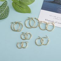 1 Pair Simple Style Oval Plating Alloy Earrings main image 5