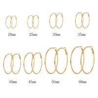 1 Pair Luxurious Queen Bridal Solid Color Plating 304 Stainless Steel 18K Gold Plated Hoop Earrings main image 2