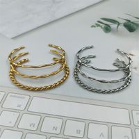 Ig Style Simple Style Streetwear Solid Color Twist Stainless Steel Plating Bangle main image 1