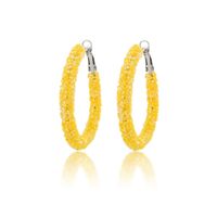 1 Pair IG Style Simple Style Circle Sequins Plastic Iron Earrings sku image 9