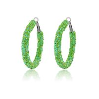 1 Pair IG Style Simple Style Circle Sequins Plastic Iron Earrings sku image 10