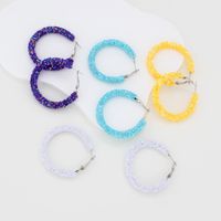 1 Pair IG Style Simple Style Circle Sequins Plastic Iron Earrings main image 3