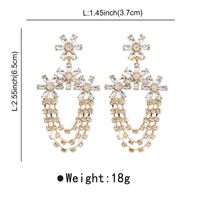 1 Pair Modern Style Simple Style Shiny Flower Chain Inlay Alloy Rhinestones Drop Earrings main image 2