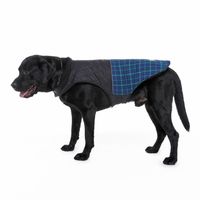 Simple Style Polyester Star Stripe Pet Clothing main image 3