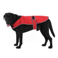 Simple Style Polyester Star Stripe Pet Clothing main image 2