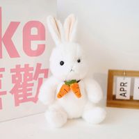 Stuffed Animals & Plush Toys Rabbit Pp Cotton Toys sku image 1