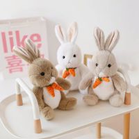 Animaux En Peluche Et Jouets En Peluche Lapin Coton Pp Jouets main image 2