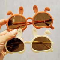Cute Sweet Bunny Ears Pc Special-shaped Mirror Full Frame Kids Sunglasses main image 5