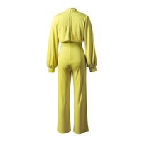 Women's Daily Simple Style Solid Color Full Length Jumpsuits main image 5