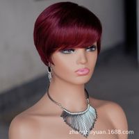 Women's Elegant Casual Real Hair Side Fringe Short Straight Hair Wigs sku image 2