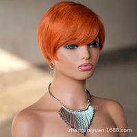 Women's Elegant Casual Real Hair Side Fringe Short Straight Hair Wigs sku image 1