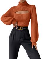 Women's Sweater Long Sleeve Sweaters & Cardigans Elegant Streetwear Solid Color main image 5