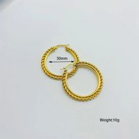 1 Pair Vintage Style Classic Style Color Block Plating Stainless Steel None Gold Plated Hoop Earrings main image 2