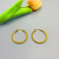 1 Pair Vintage Style Classic Style Color Block Plating Stainless Steel None Gold Plated Hoop Earrings main image 6