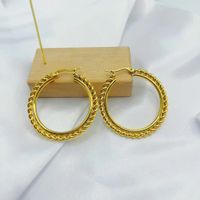 1 Pair Vintage Style Classic Style Color Block Plating Stainless Steel None Gold Plated Hoop Earrings main image 3