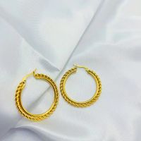 1 Pair Vintage Style Classic Style Color Block Plating Stainless Steel None Gold Plated Hoop Earrings main image 4