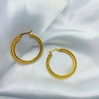 1 Pair Vintage Style Classic Style Color Block Plating Stainless Steel None Gold Plated Hoop Earrings main image 5