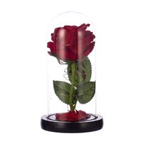 Valentine's Day Simple Style Solid Color Plastic Glass Holiday Daily Decorative Props main image 2