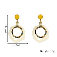 1 Pair Simple Style Geometric Alloy Drop Earrings main image 2