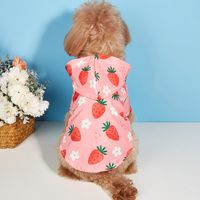 Cute Pastoral Polyester Strawberry Pet Clothing main image 1