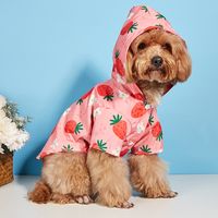 Cute Pastoral Polyester Strawberry Pet Clothing main image 5