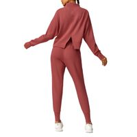 Women's Simple Style Classic Style Solid Color Spandex Standing Collar Tracksuit T-shirt Sweatpants main image 5