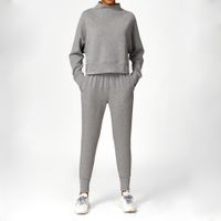 Women's Simple Style Classic Style Solid Color Spandex Standing Collar Tracksuit T-shirt Sweatpants main image 3