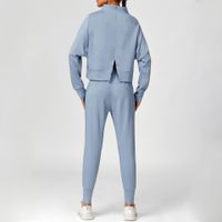 Women's Simple Style Classic Style Solid Color Spandex Standing Collar Tracksuit T-shirt Sweatpants main image 4