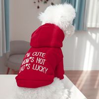 Casual Polyester Letter Pet Clothing main image 6