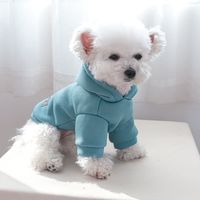 Casual Polyester Letter Pet Clothing main image 3