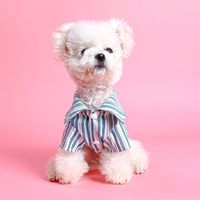 Casual Polyester Stripe Pet Clothing main image 2