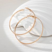 1 Pair Elegant Vintage Style Wedding Round Square Leaves Plating Metal Hollow Out Stainless Steel Arylic Alloy Gold Plated Drop Earrings main image 7