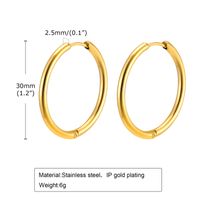 1 Pair Simple Style Solid Color Plating 304 Stainless Steel Hoop Earrings sku image 11